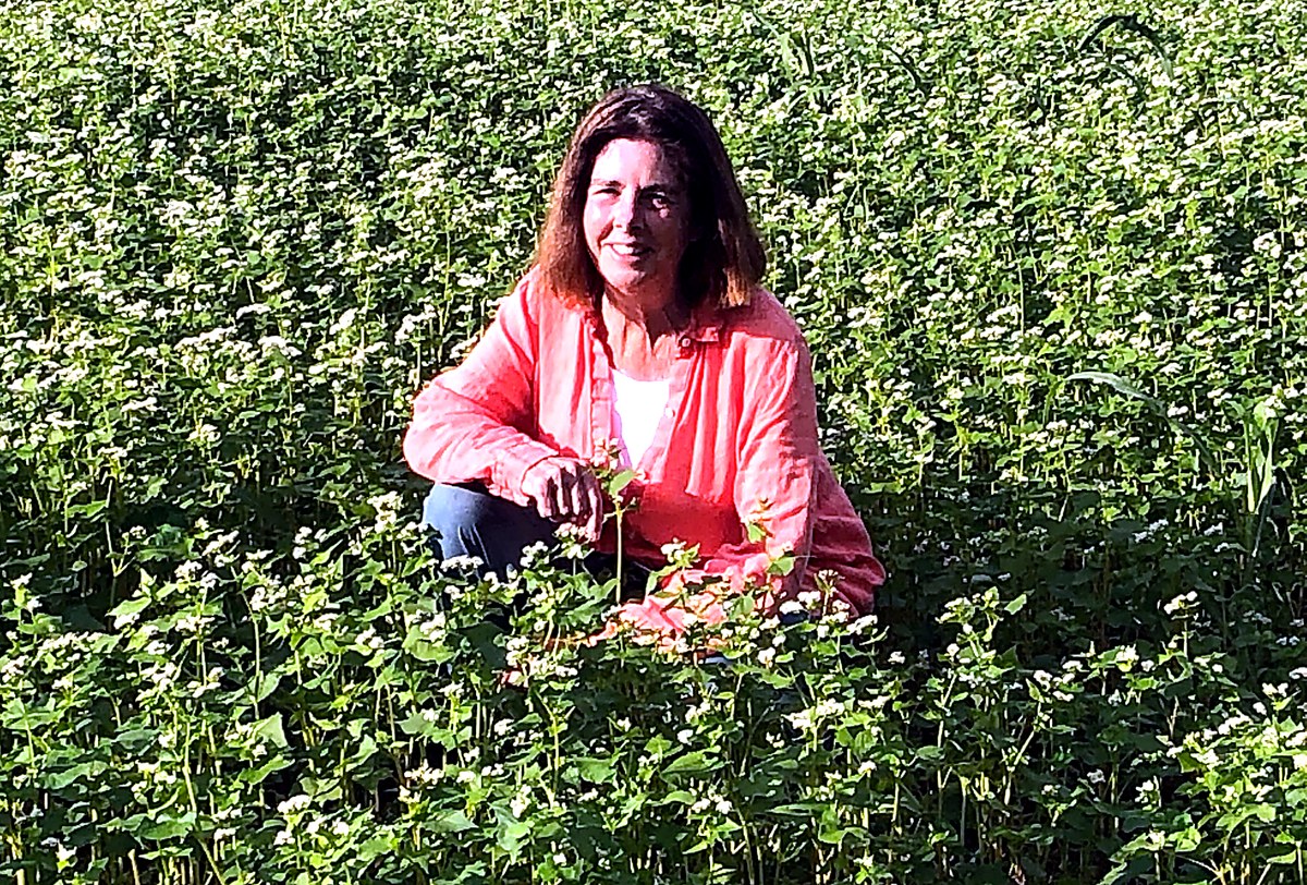 Laura Freeman in the field