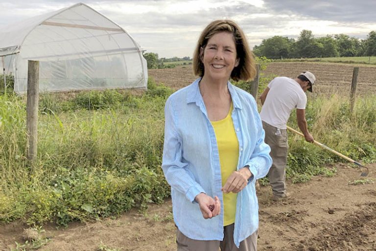 Laura Freeman Planting Heirloom Beans, laura freeman, lauras lean beef, mt. folly, mt. folly farm, cbd oil, cbd, hemp oil, hemp, farming, organic farming,