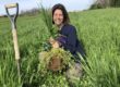 Laura Freeman, Laura's homestead alternatives, mt. folly, mt. folly farm, cbd, hemp, farming, regenerative agriculture, climate smart, climate smart farming,