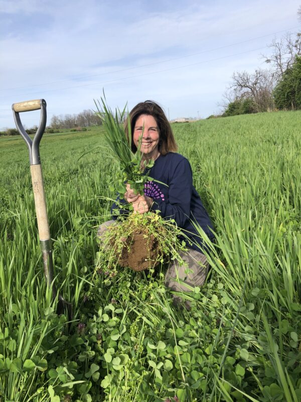 Laura Freeman, Laura's homestead alternatives, mt. folly, mt. folly farm, cbd, hemp, farming, regenerative agriculture, climate smart, climate smart farming,