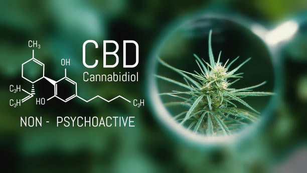 delta 8, delta 9, How does CBD and THC make you feel?, What are the effects of CBD vs THC?, What happens when you mix CBD with THC?, What do THC and CBD gummies do to you?, What does THC CBD do to the brain?, Does THC or CBD give you a body high?, Does CBD have any negative side effects?, What does an edible high feel like?, Is CBD addictive like THC?, Is CBD better than Viagra?, Will CBD show up on a drug test?, Is THC or CBD better for sleep?,