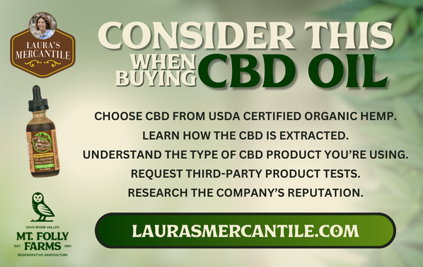 Full Spectrum CBD Oil, Laura's Homestead Alternatives, Organic Hemp CBD Oil, homestead alternatives, full spectrum cbd oil, organic hemp, Do you feel anything with full spectrum CBD?, Does full spectrum CBD really work?, Will I fail a drug test on full spectrum CBD?, Why does full spectrum CBD make me feel high?, Can you get a buzz from full spectrum CBD?, Is it okay to take full spectrum CBD everyday?, What does full spectrum CBD do to the brain?, How many drops of CBD full spectrum should I take?, What happens if you take too much full spectrum CBD?, Does full spectrum CBD reduce inflammation?, Will full spectrum CBD make me sleepy?, Do I want full or broad spectrum CBD?,