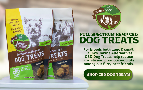 CBD for dogs Laura's Canine Alternatives CBD treats