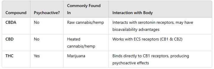 What does CBDa feel like?, What does CBDa do to the body?, Is CBDa more powerful than CBD?, Does CBDa show up on a drug test?, Can you take too much CBDA?, What is CBDA effects?, How often should you take CBDA?, Do you feel a buzz from CBD?, Does CBDA make you hungry?, What are the psychological effects of THCA?, How long does CBDA last?, Is CBD or CBDA better for sleep?, Does CBDA have psychoactive effects?, Do employers look for CBD in drug test?, What is the most effective brand of CBD gummies?, How long does CBD stay in your pee?, Does CBDA turn into CBD?, Is CBD federally legal?, What are the side effects of CBDA?, What is better for sleep, CBD or CBN?, What is a CBD high feel like?,