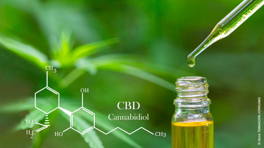 legal status of cbd, cbd legality states map, overview of cbd legaity in the united states, latest cbd legality 2024-2025,