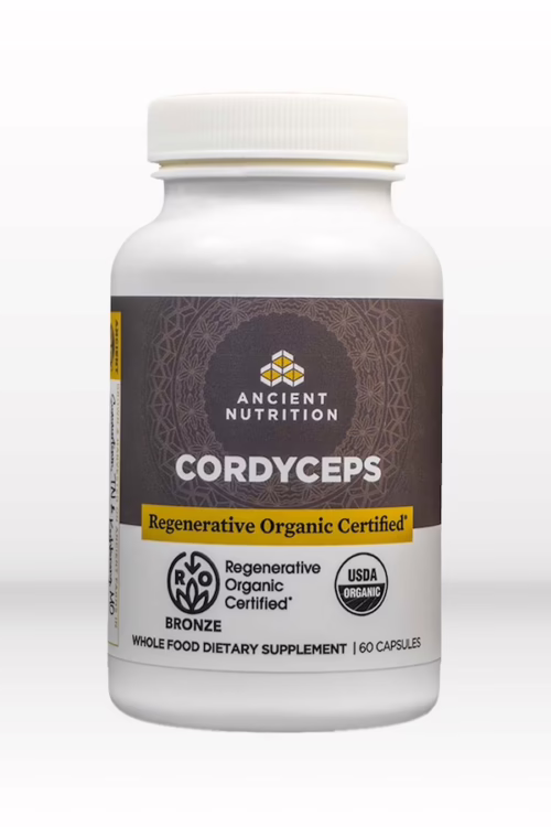 cordyceps mushrooms