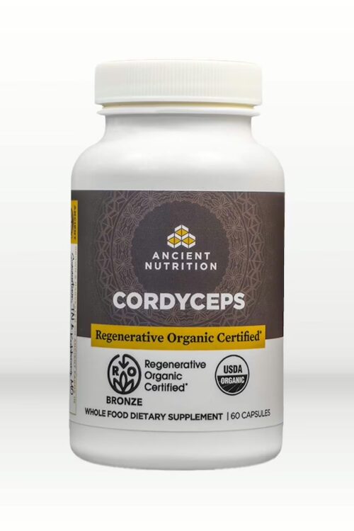 cordyceps mushrooms