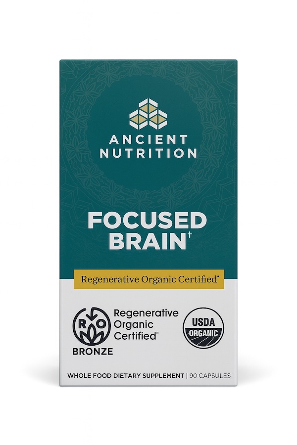 focused brain