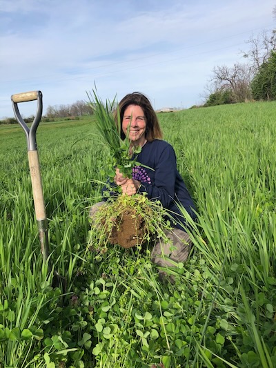 laura freeman soil expert and organic farmer